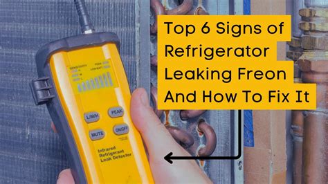 freon leak freezer|Refrigerant Poisoning: What Are Symptoms And How Is It。